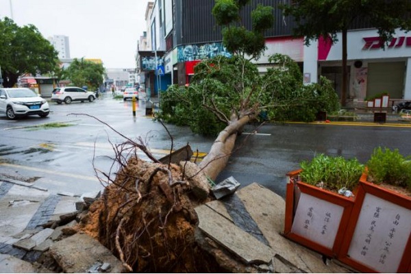 臺(tái)風(fēng)過(guò)后的街道散亂一片